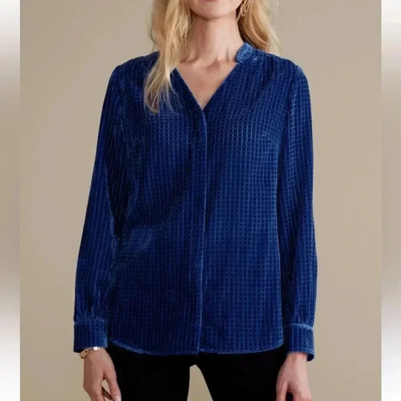 Soft Surroundings Tops - Soft Surroundings Ivy‎ Shirt Women Sz M Velvet Burnout Cobalt Blue Jewel Button